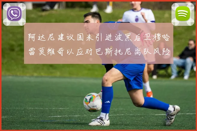 阿达尼建议国米引进波黑后卫穆哈雷莫维奇以应对巴斯托尼离队风险